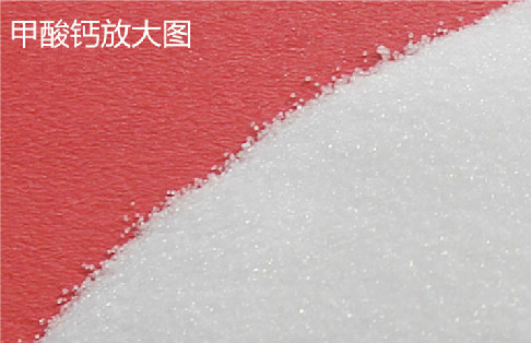 華瑞甲酸鈣-好吸收的鈣！